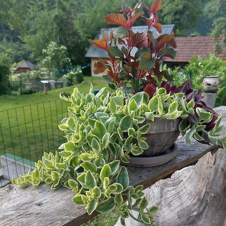 Apartmaji Katrc Soča Exteriör bild