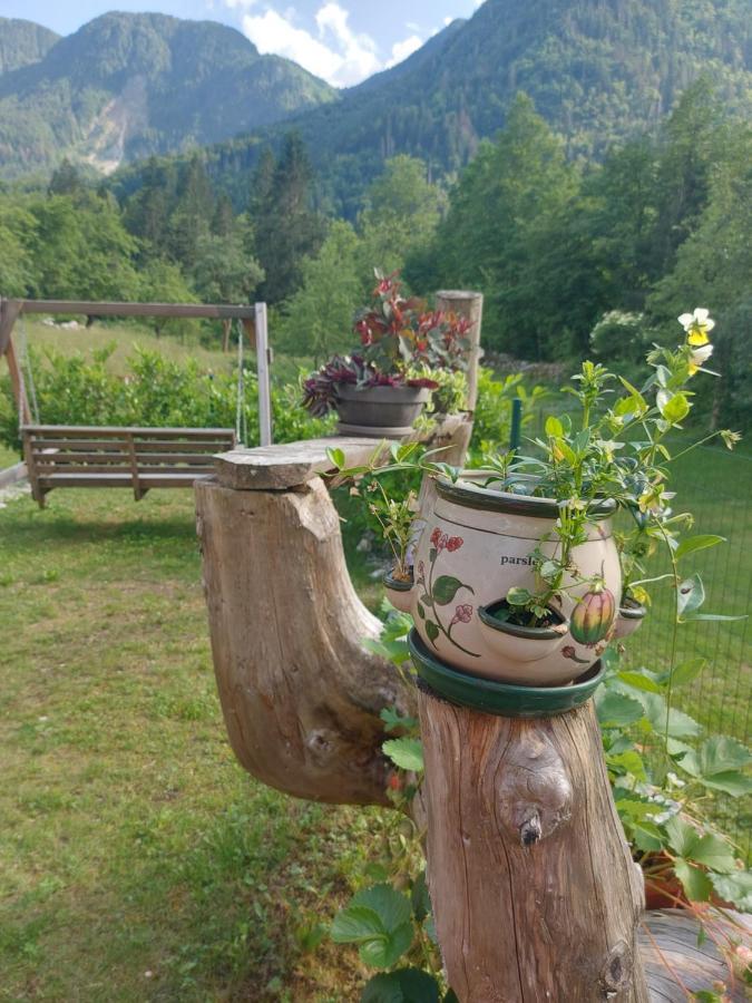 Apartmaji Katrc Soča Exteriör bild