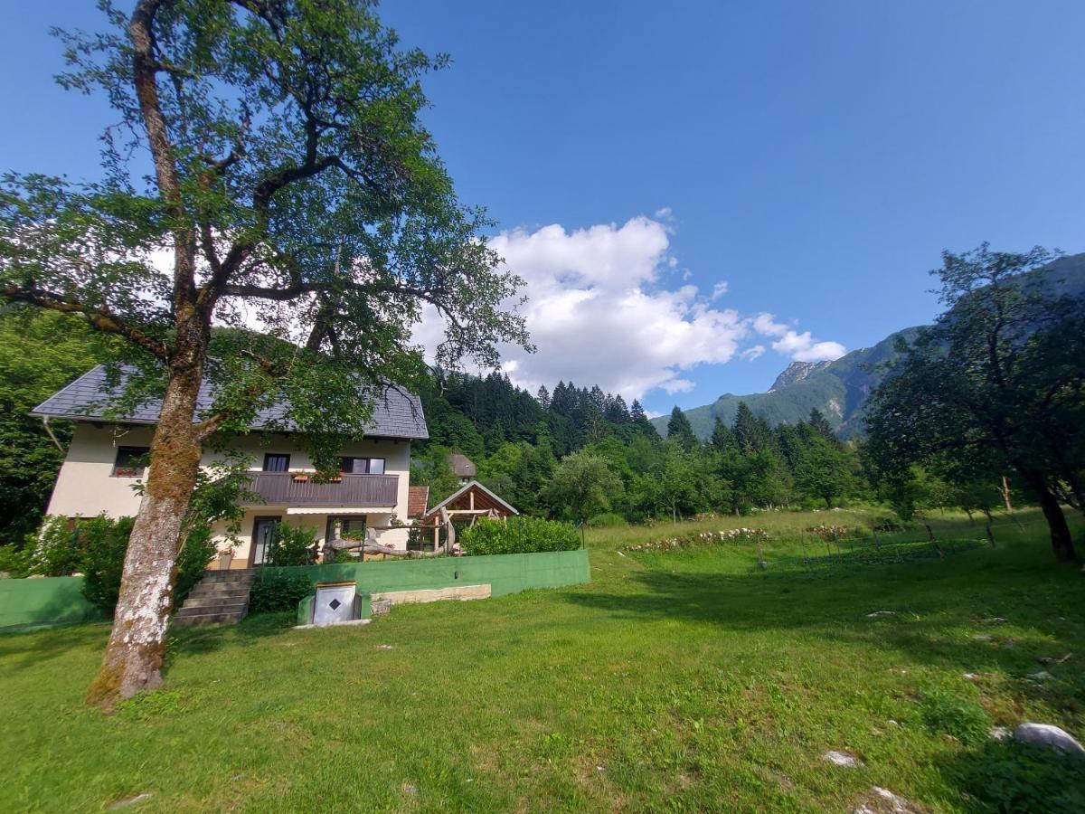 Apartmaji Katrc Soča Exteriör bild