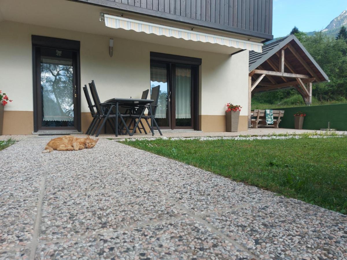 Apartmaji Katrc Soča Exteriör bild