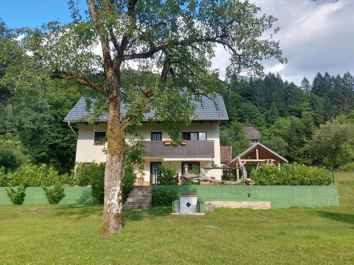 Apartmaji Katrc Soča Exteriör bild