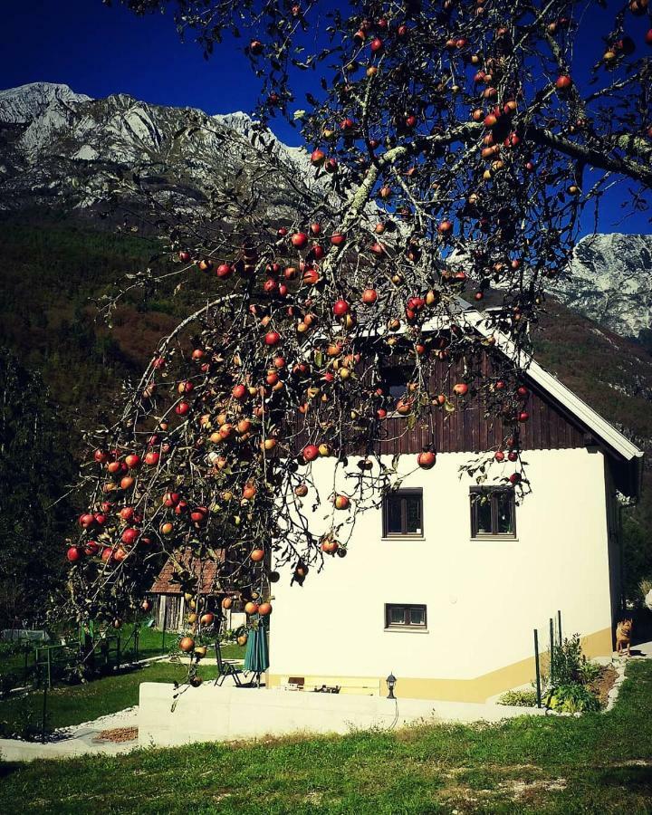 Apartmaji Katrc Soča Exteriör bild