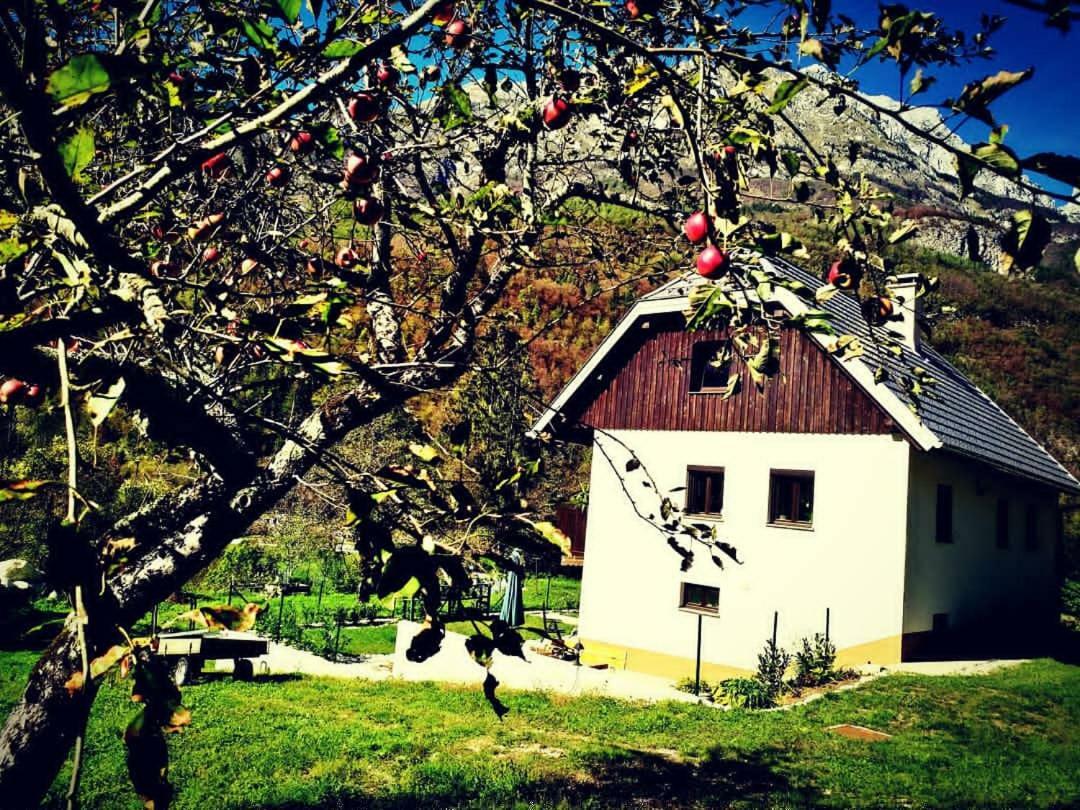 Apartmaji Katrc Soča Exteriör bild