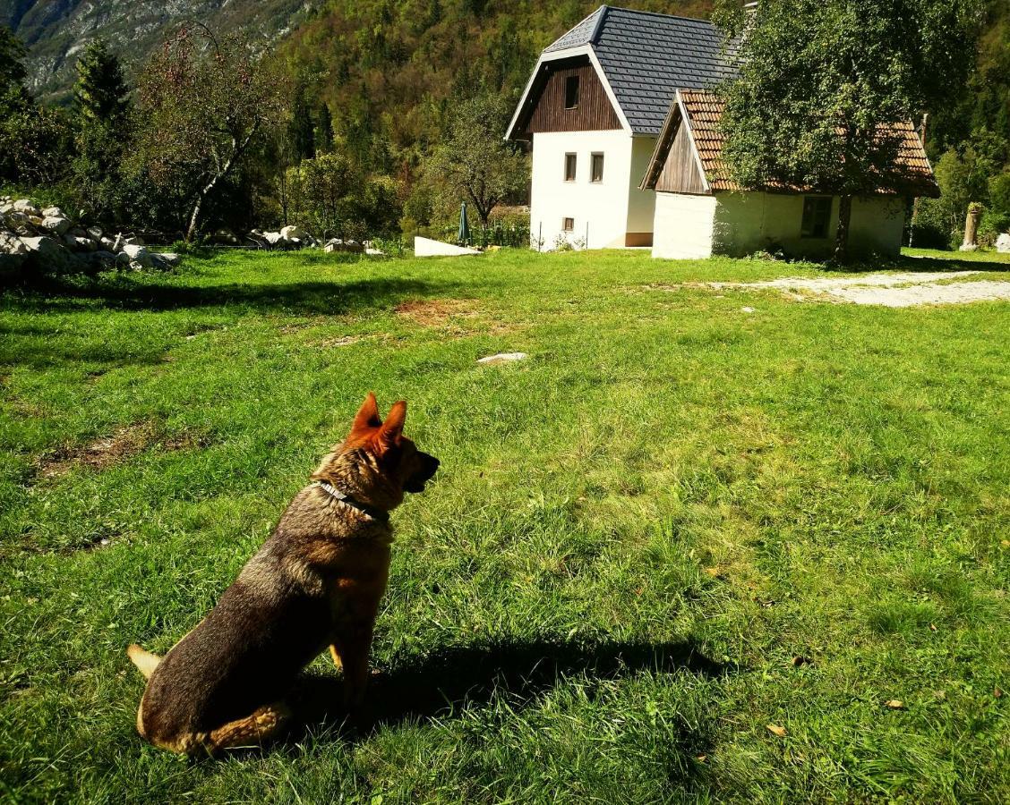 Apartmaji Katrc Soča Exteriör bild